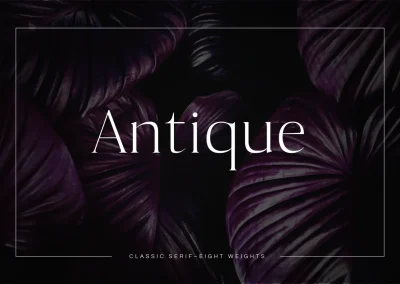 Antique – Luxury Serif Typeface