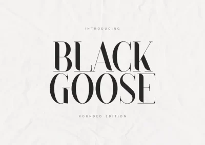 Black Goose – Rounded Serif Font