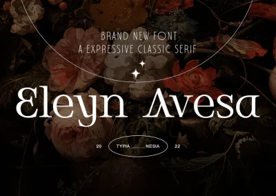 Eleyn Avesa – Classic Elegant Display Serif