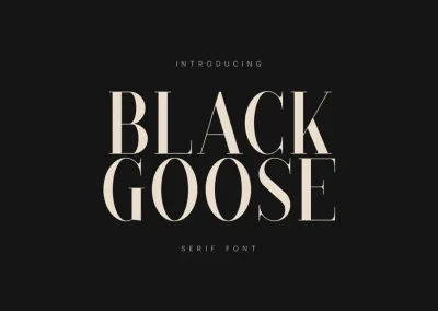 Black Goose – Elegant Modern Serif
