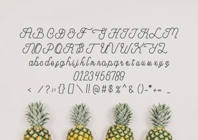 Fatheya Food Font