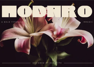 Nodaro – Bold Display Font