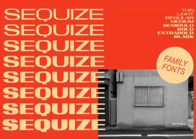 Sequize