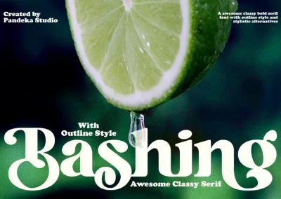 Bashing