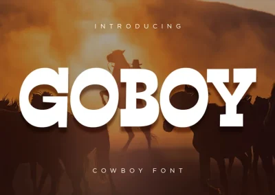 Go Boy Cowboy