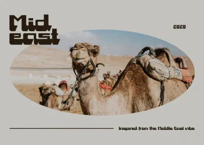 Mideast Middle East
